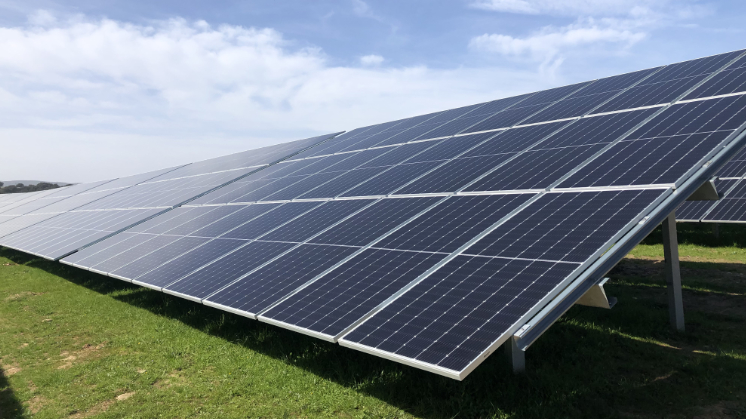 Government Subsidy & Loan Assistance